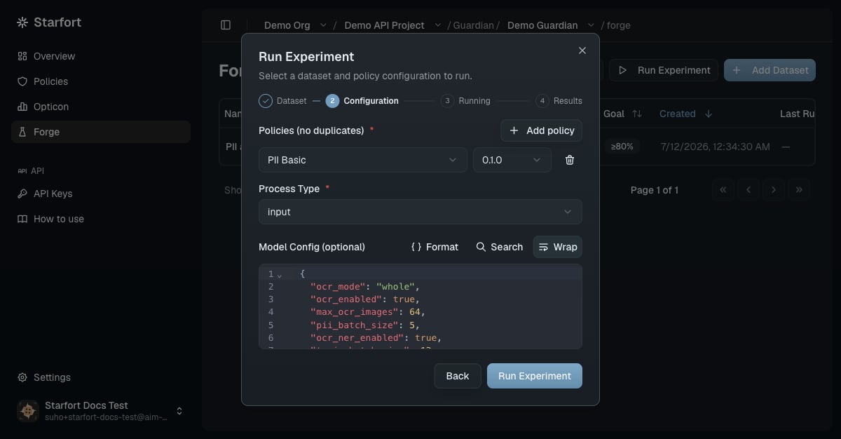 PII Basicポリシーのバージョン0.1.0とinput process typeが選択されたRun ExperimentダイアログのConfigurationステップ