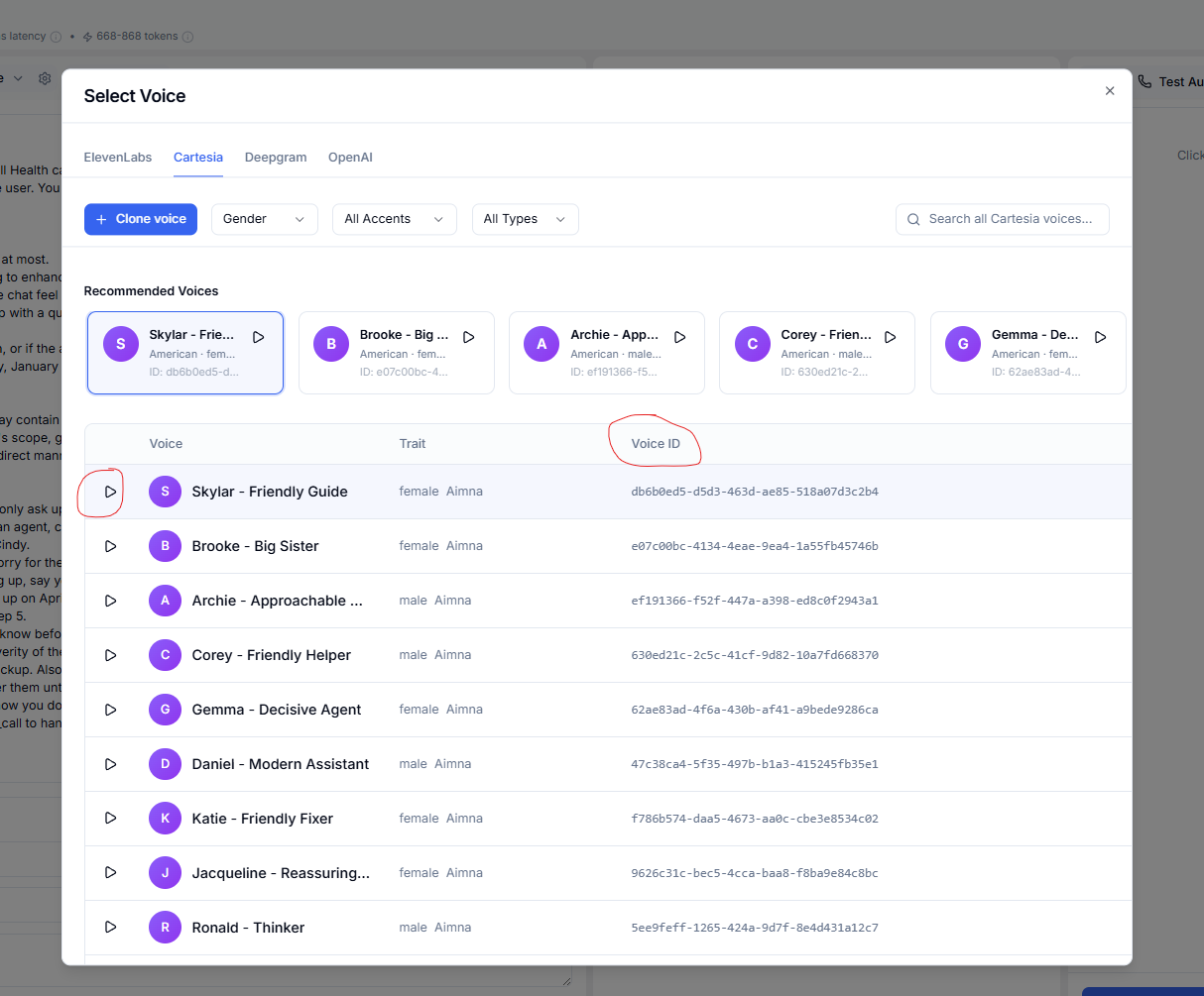 Voice preview and selection