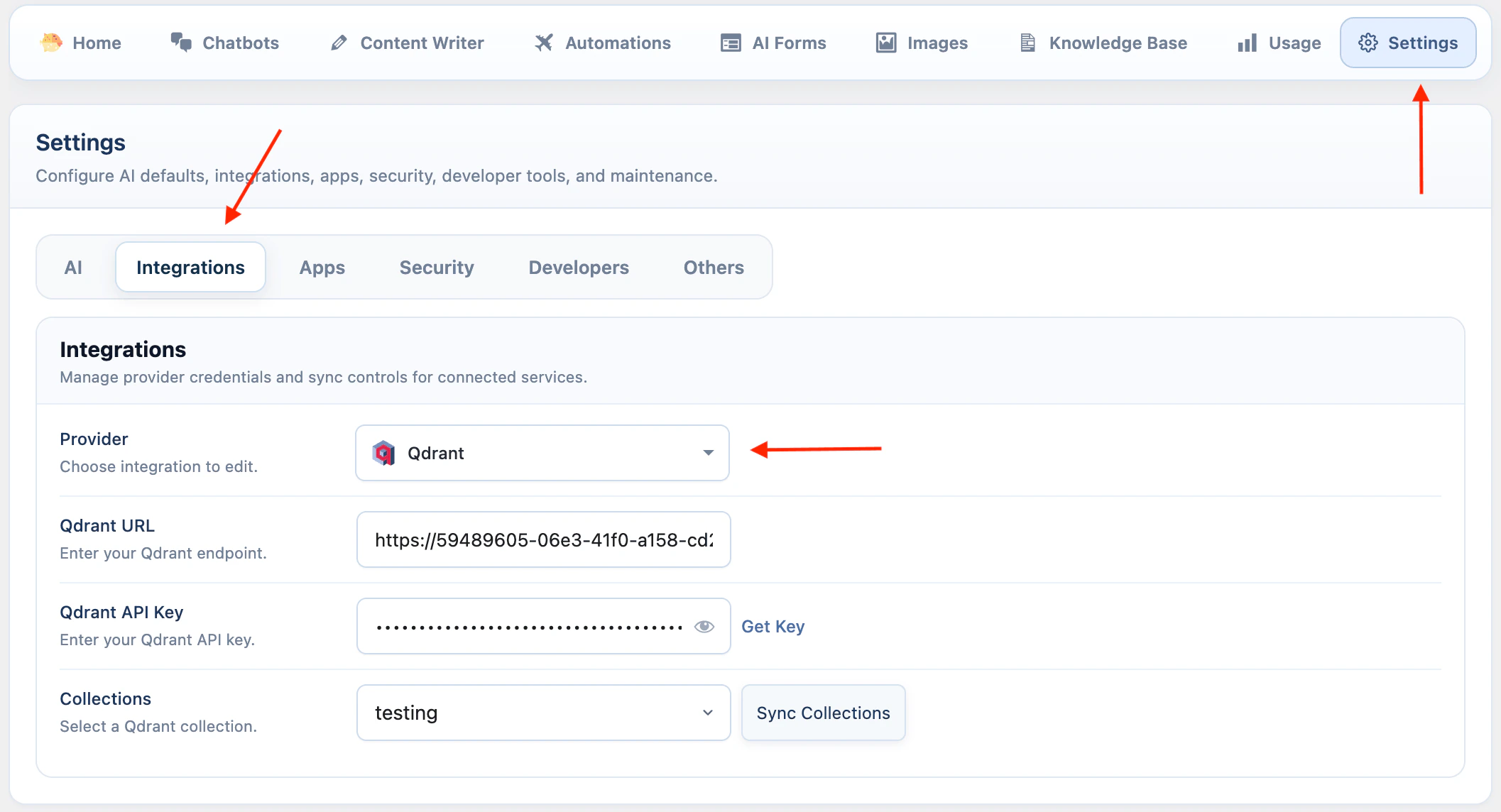 Qdrant API key