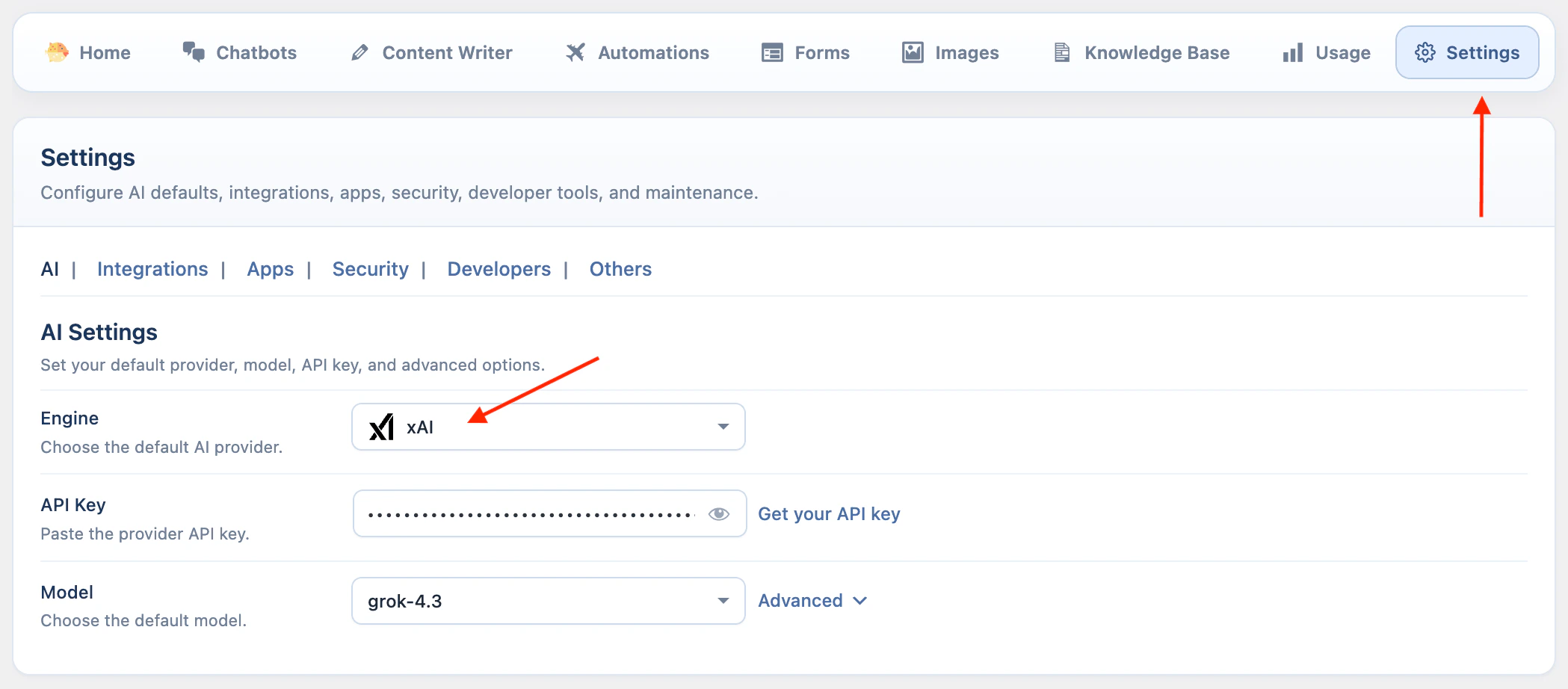 xAI API key settings