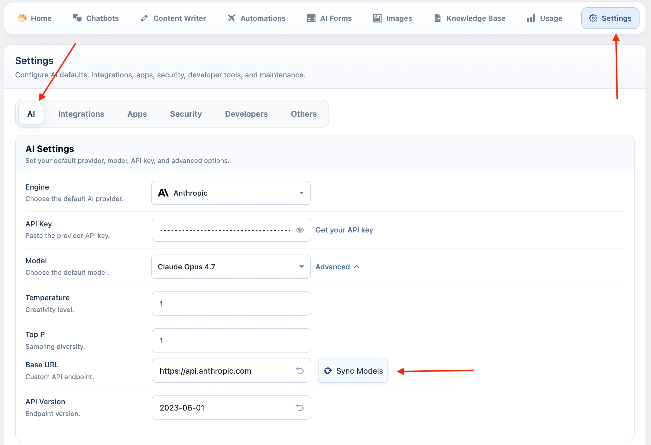 Anthropic API key settings