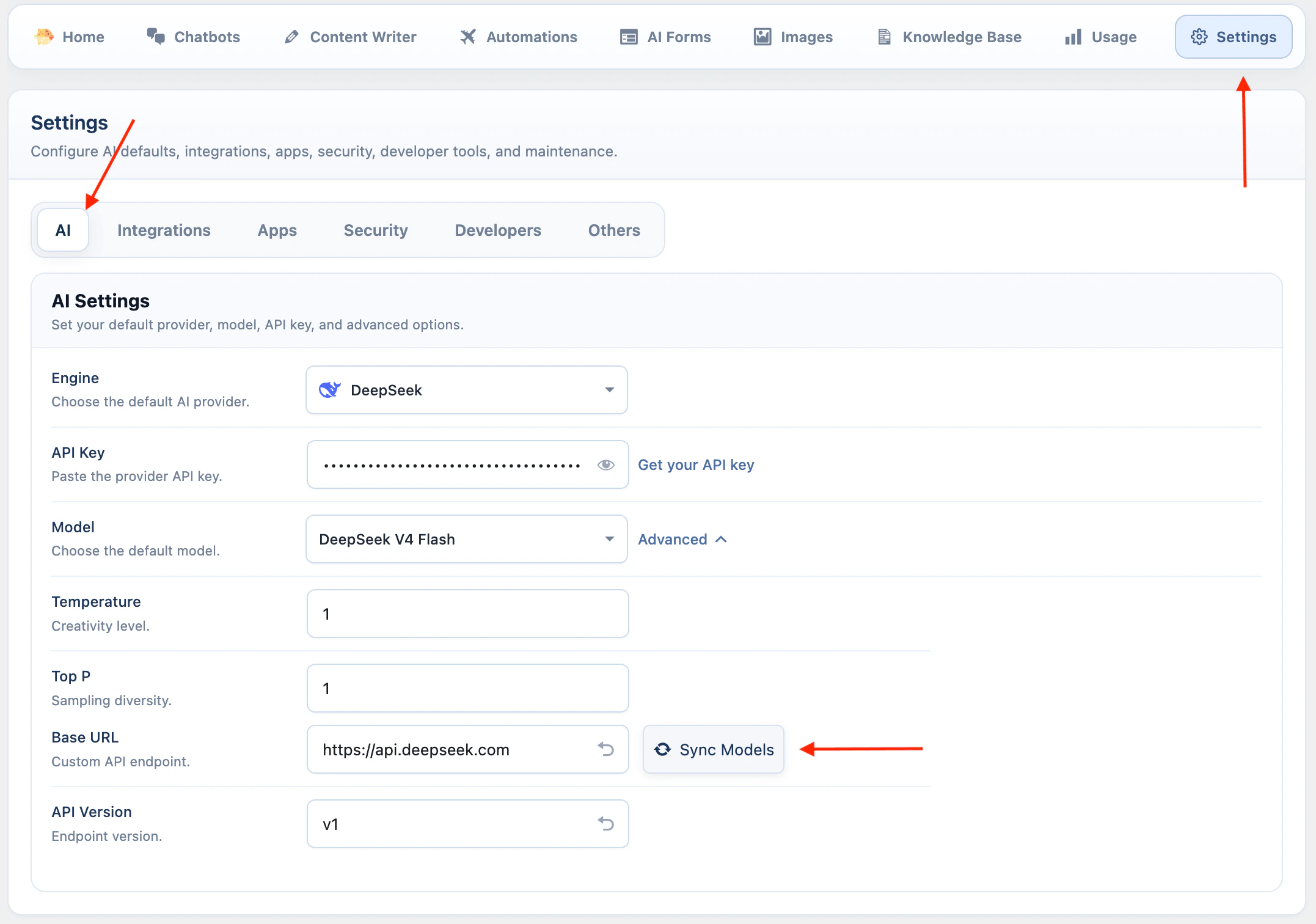 DeepSeek API key settings