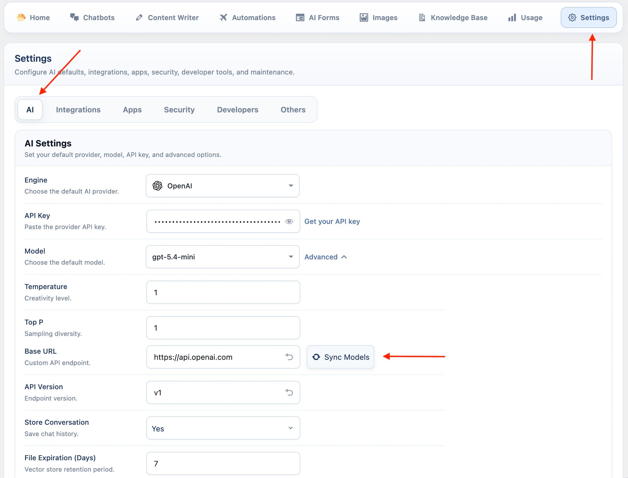 OpenAI API key settings