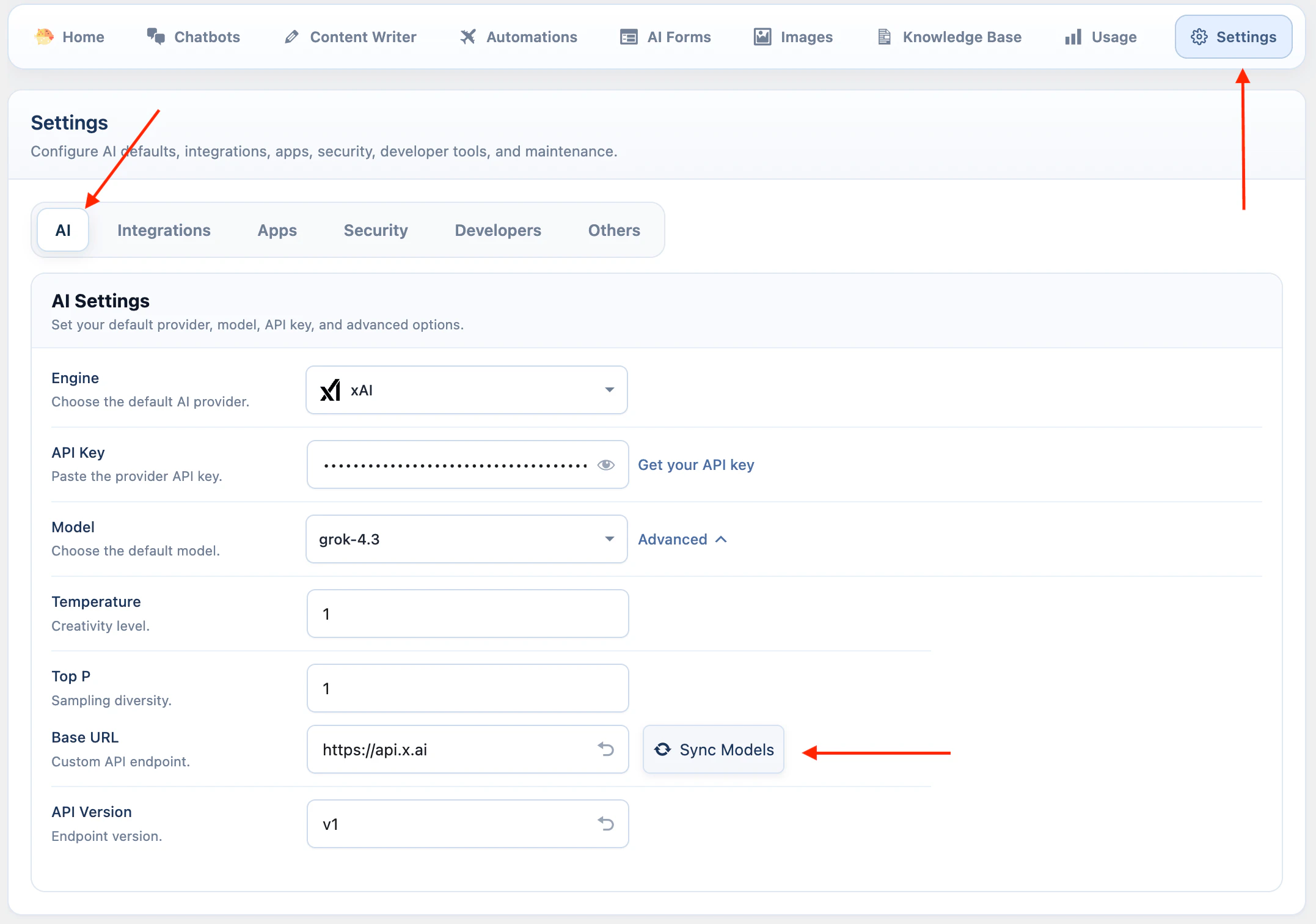 xAI API key settings