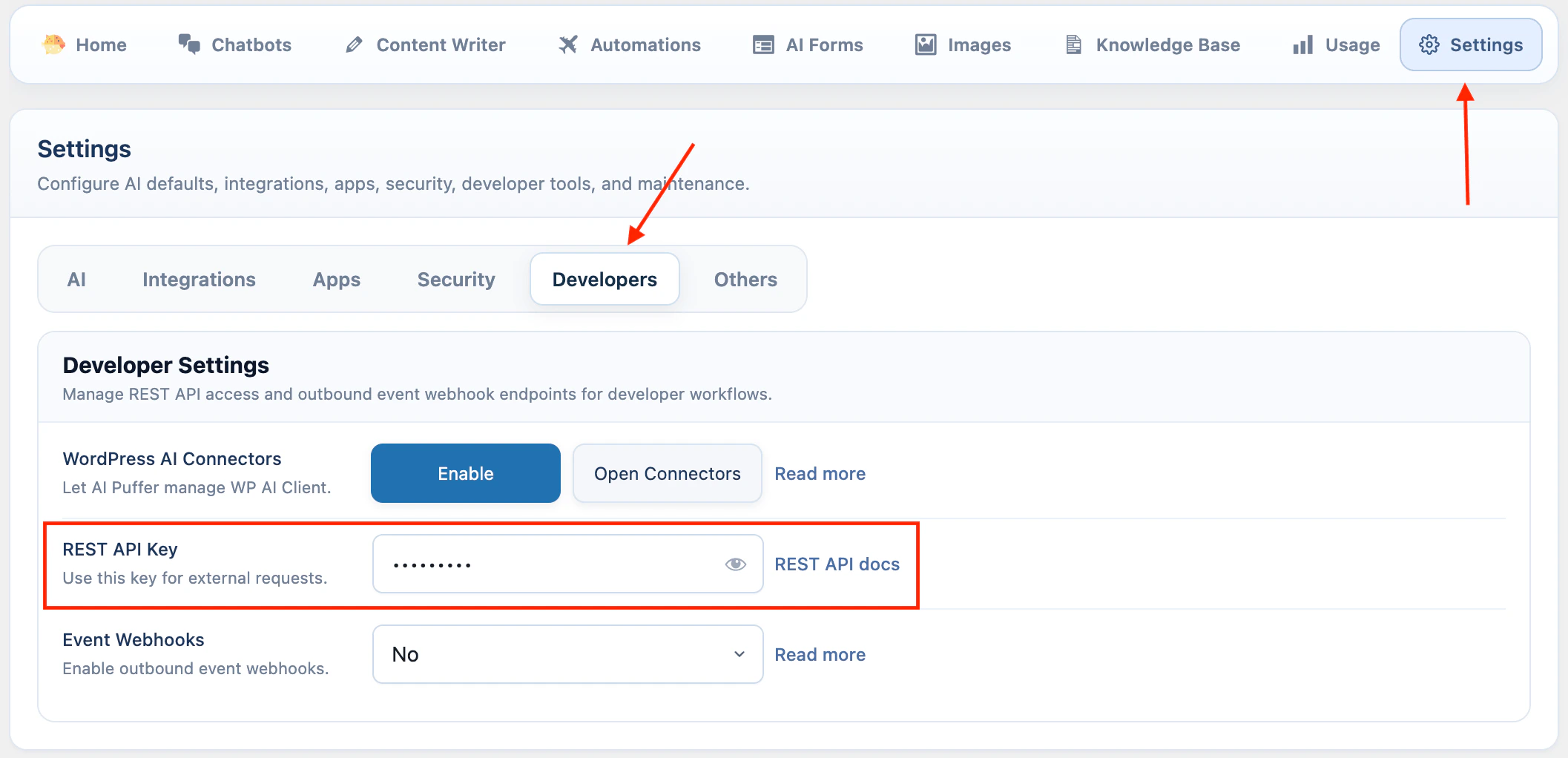 Developer Settings with the REST API Key field
