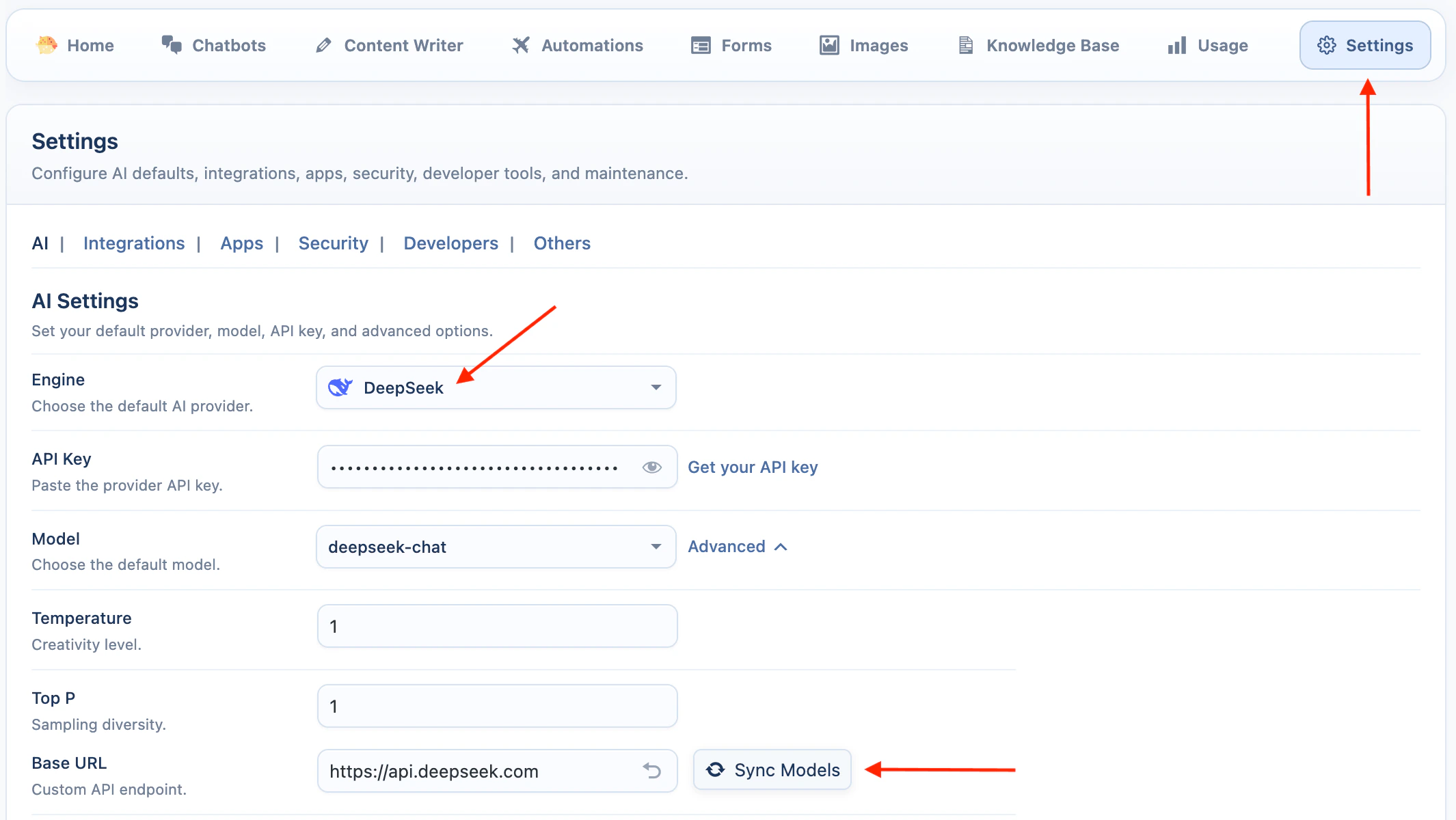 DeepSeek API key settings