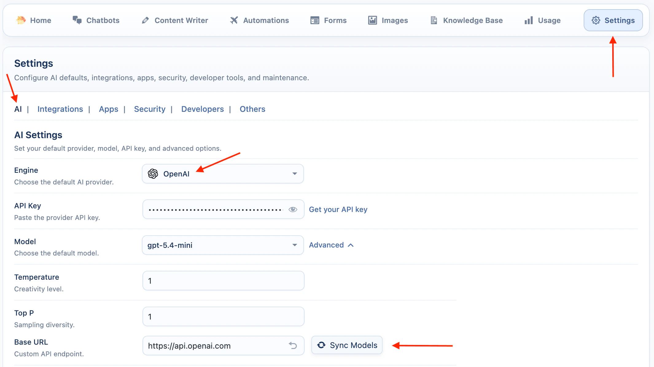 OpenAI API key settings
