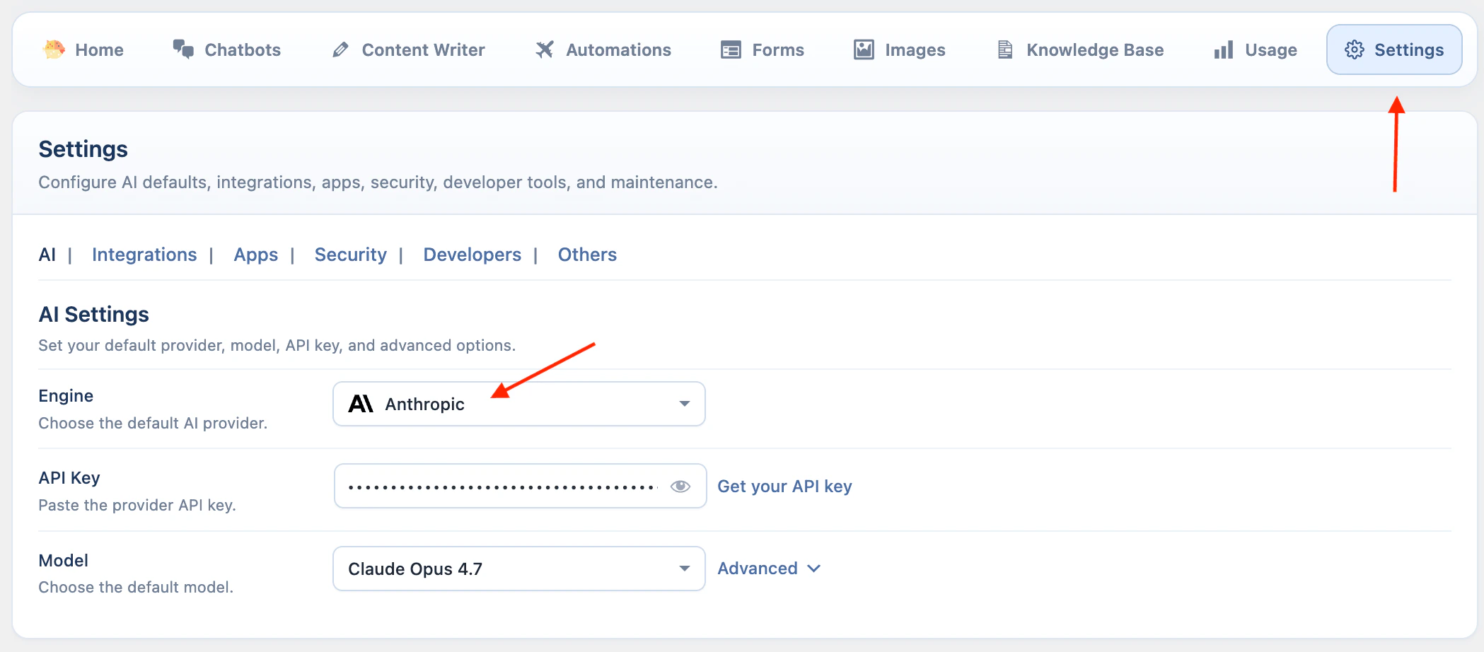 Anthropic API key settings