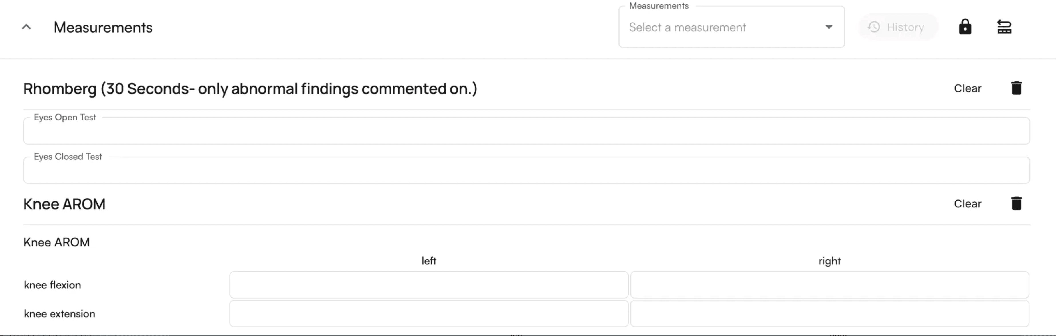 Measurements section in chart note