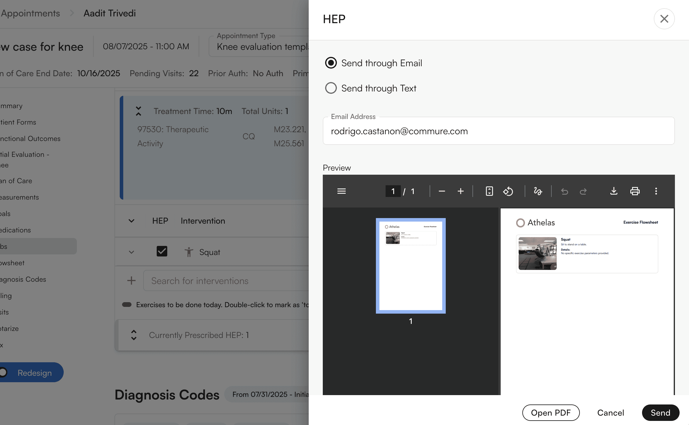 HEP preview and send options