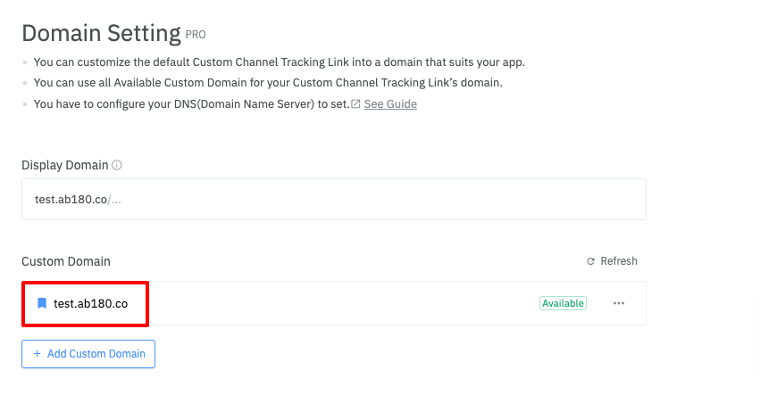 04-en-custom domain