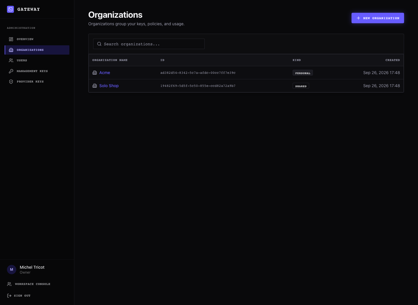 Instance Organizations page showing the organization list