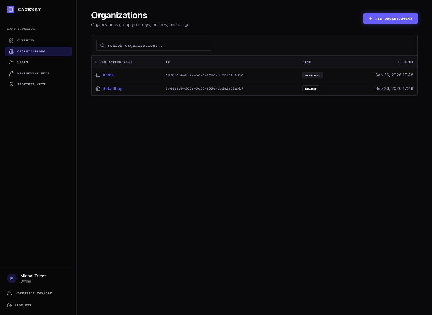 Instance Organizations page showing the organization list
