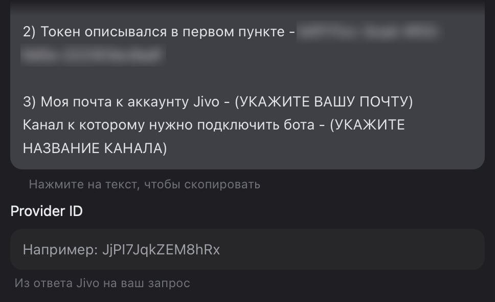 Конец письма для Jivo с местами для email и названия канала и поле Provider ID под ним