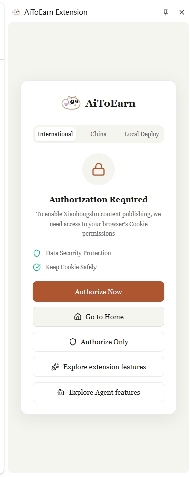 在插件登录页点击 Authorize Only（仅授权）