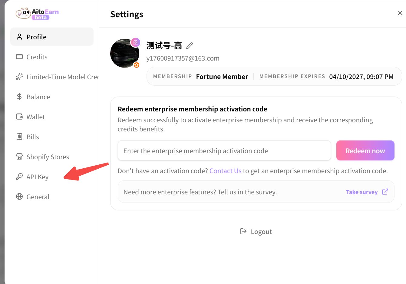 进入 API Key 页面
