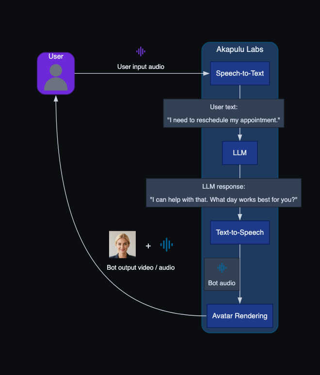 Akapulu Labs pipeline diagram