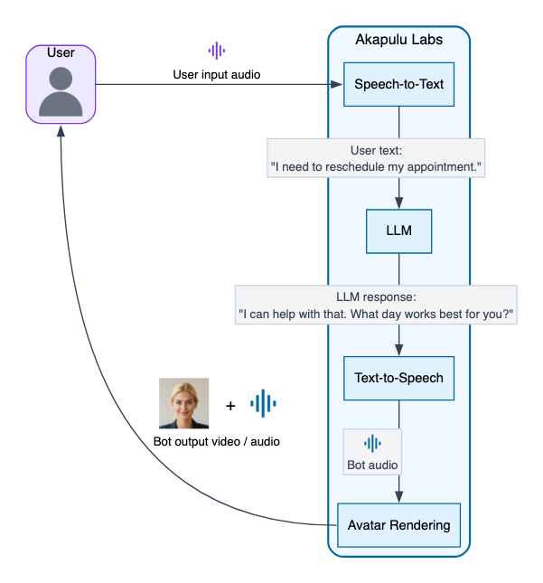 Akapulu Labs pipeline diagram