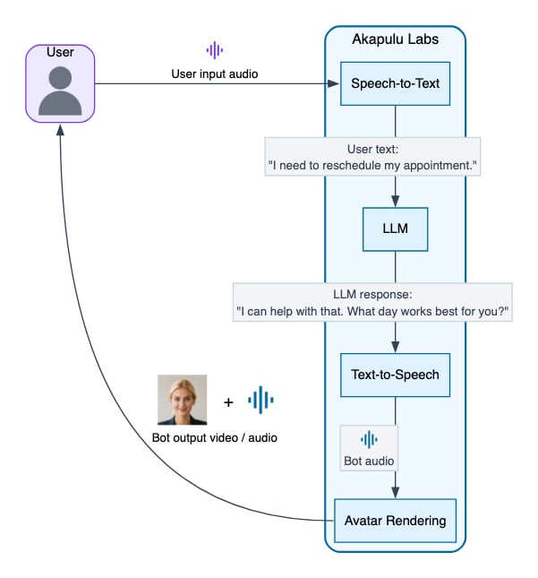 Akapulu Labs pipeline diagram
