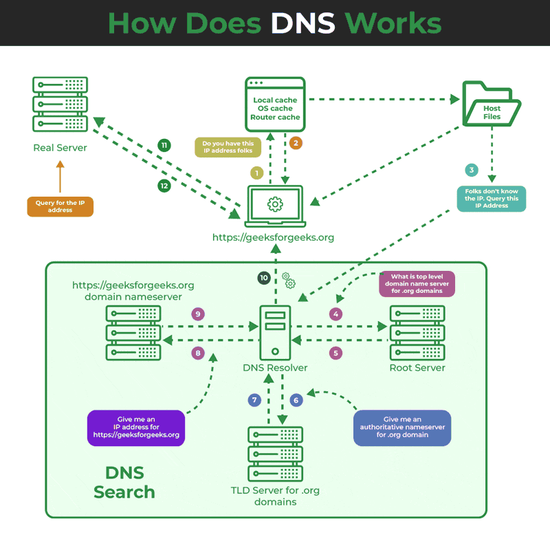DNS
