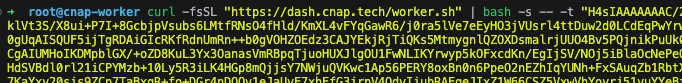 Infrastructure setup command in the Akua dashboard.