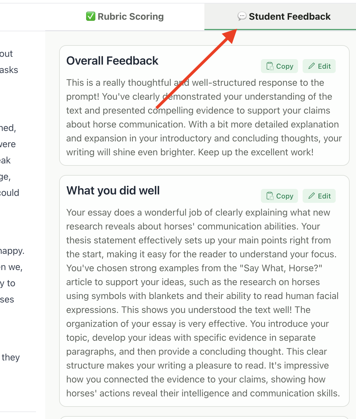 Screenshot showing student feedback