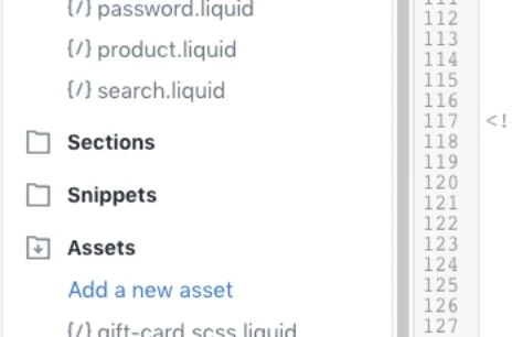 Screenshot of a code editor showing 'Sections,' 'Snippets,' and 'Assets' folders with liquid files like 'password.liquid' and 'product.liquid.'