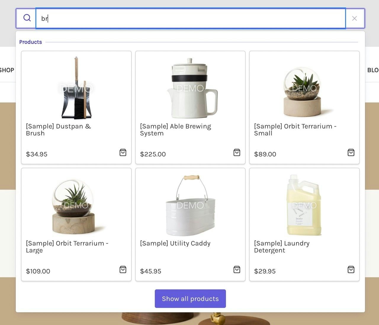 Screenshot of an autocomplete drop-down menu showing product cards for items like 'Dustpan and Brush' and 'Able Brewing System' under 'Products'.