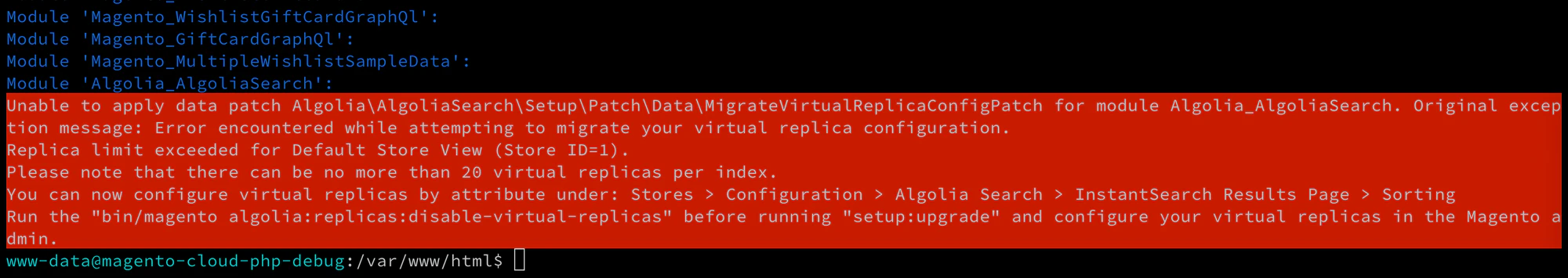Setup upgrade fails due to virtual replica exceeded error