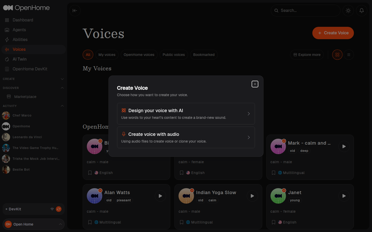 Create Voice dialog