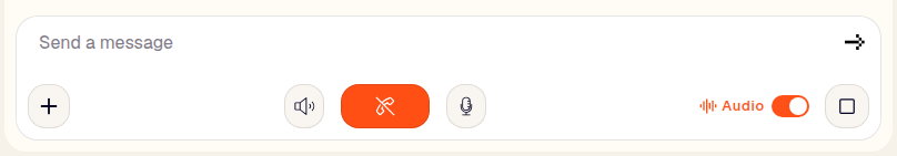 The conversation message bar with the text input, microphone, interrupt, and Audio toggle