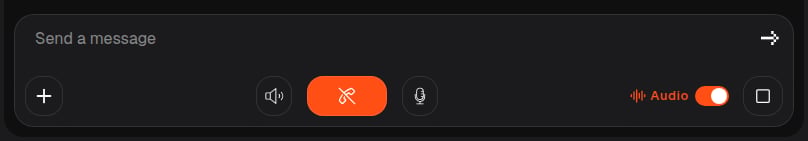 The conversation message bar with the text input, microphone, interrupt, and Audio toggle