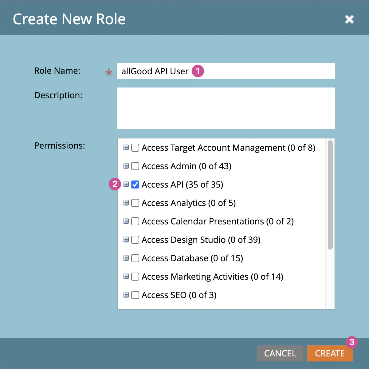 New Role form with API Access enabled