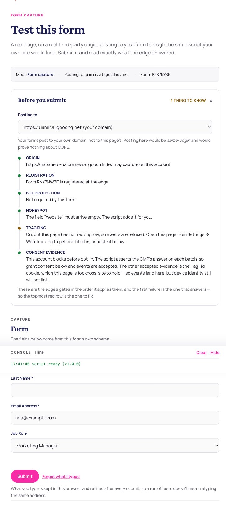The test page in form mode, rendering the form's real declared fields