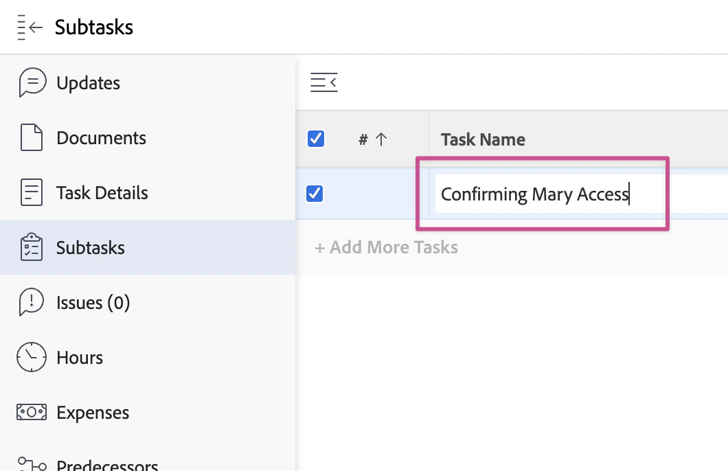 Workfront subtasks view showing 'Confirming Mary Access' task Workfront subtasks view showing 'Confirming Mary Access' task
