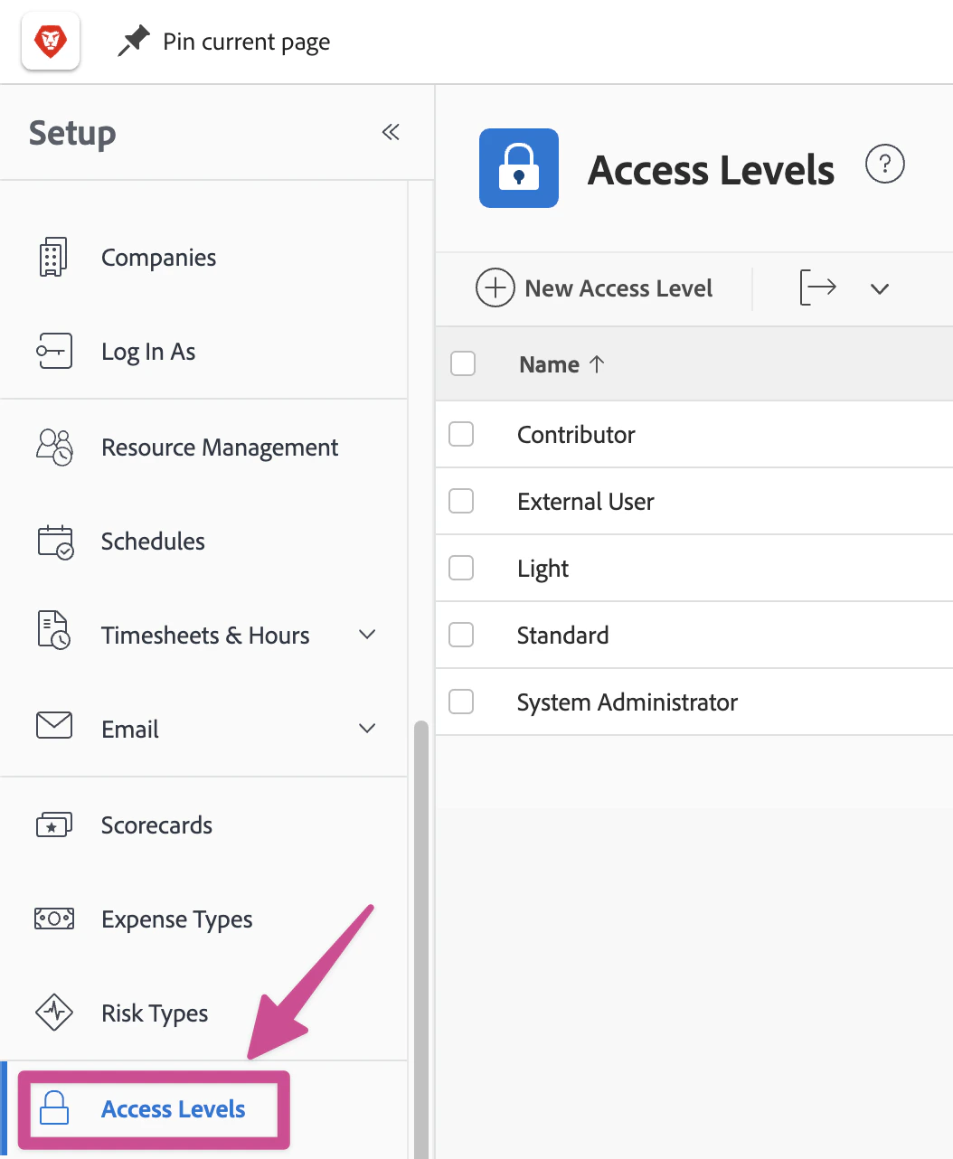 Setup > Access Levels page in Workfront Setup > Access Levels page in Workfront