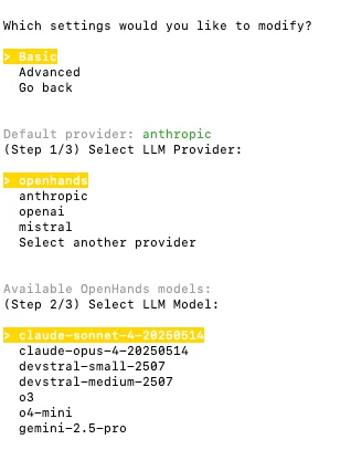 OpenHands Provider in CLI