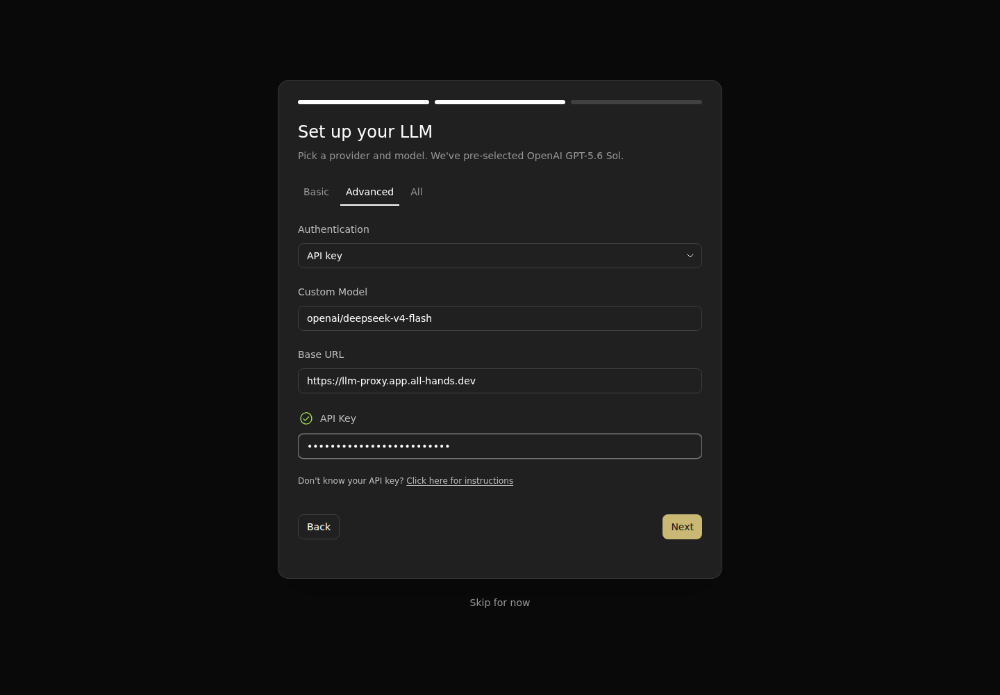 Advanced model settings with the API key hidden