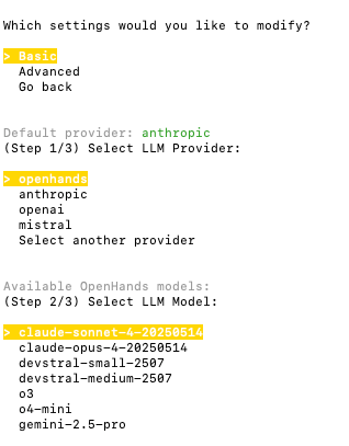 OpenHands Provider in CLI