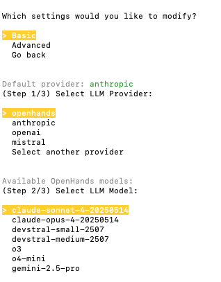 OpenHands Provider in CLI