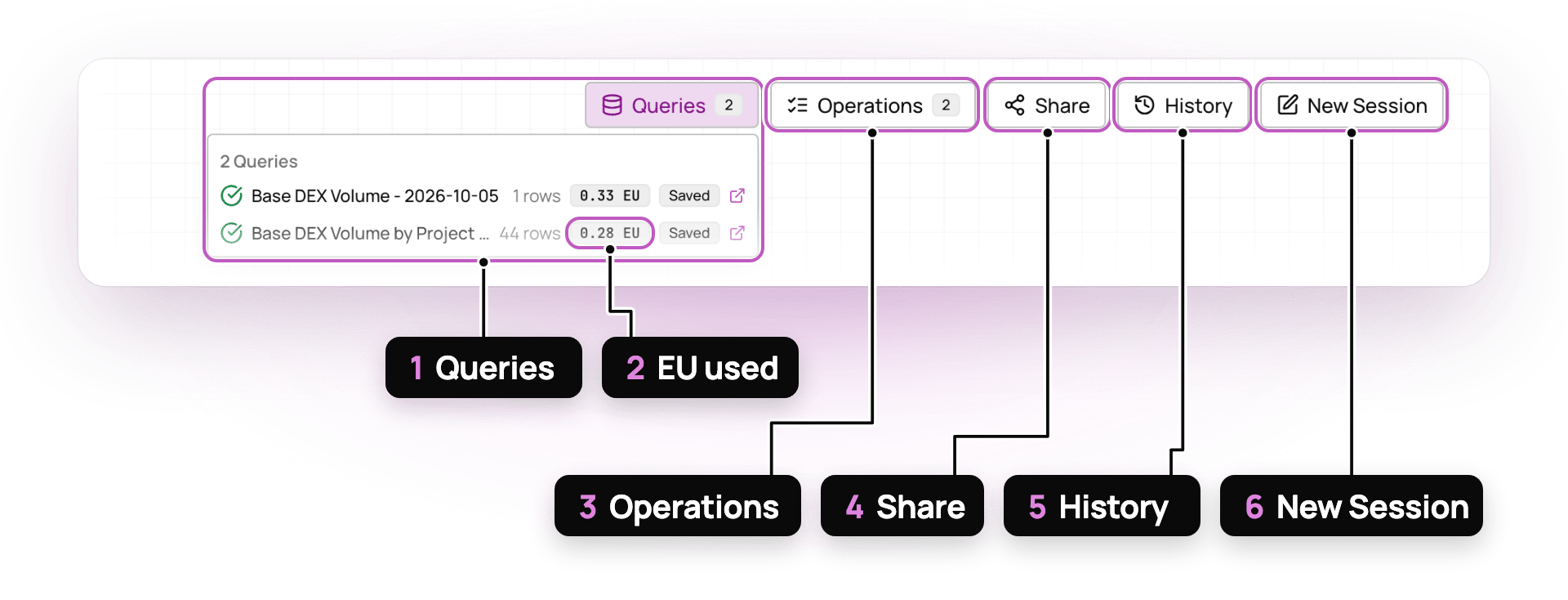 The Assistant session header with six numbered controls: Queries, EU used, Operations, Share, History, and New Session.
