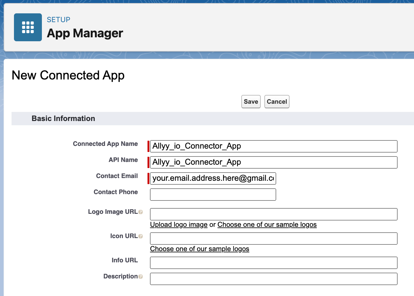 Click 'New Connected App' button