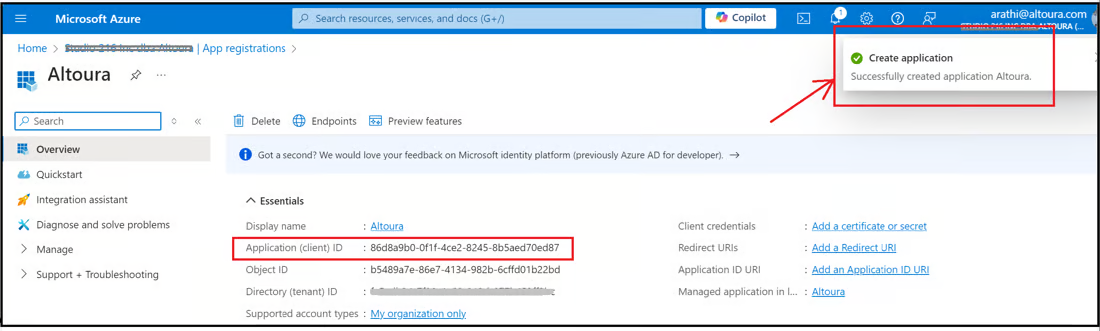 App overview page showing the Application (client) ID value