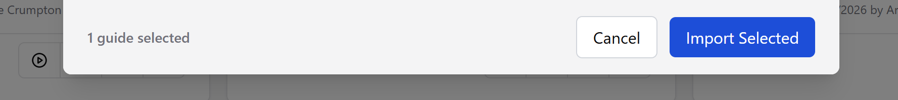 Close-up of the dialog footer showing '1 guide selected' alongside the Cancel and Import Selected buttons.