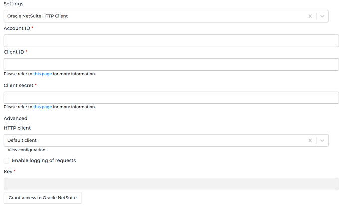NetSuite connector screenshot 1