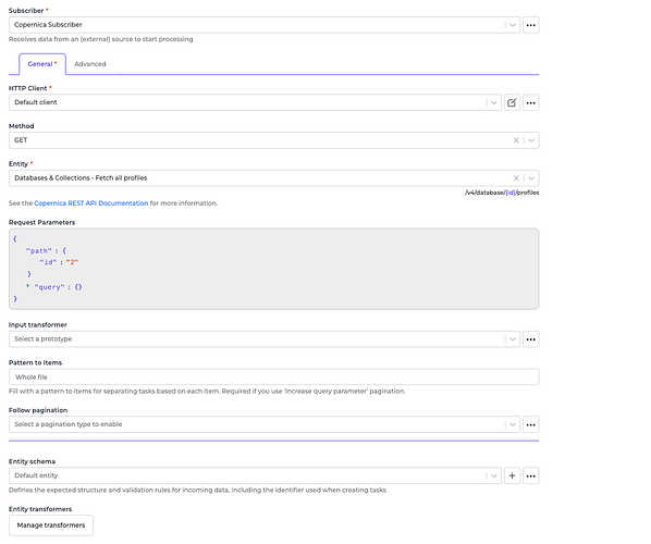 Copernica connector screenshot 2