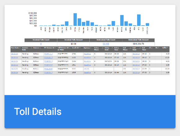 This image shows the Toll Details section in the PrePass Reports Portal.