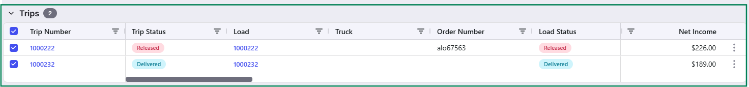 Displays an expanded table view of a driver's assigned Trips, framing their corresponding statuses, load numbers, and net income values within a green border.