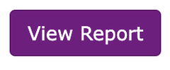 This image shows the View Report button in the PrePass Toll Details screen.