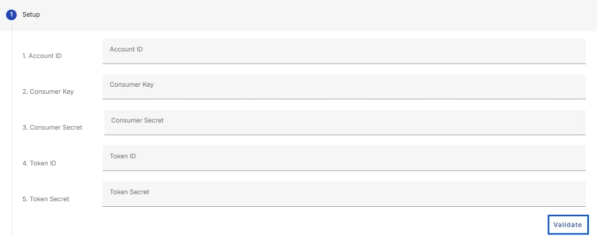 Screenshot showing the credential entry dialog for the NetSuite integration with all five fields visible.